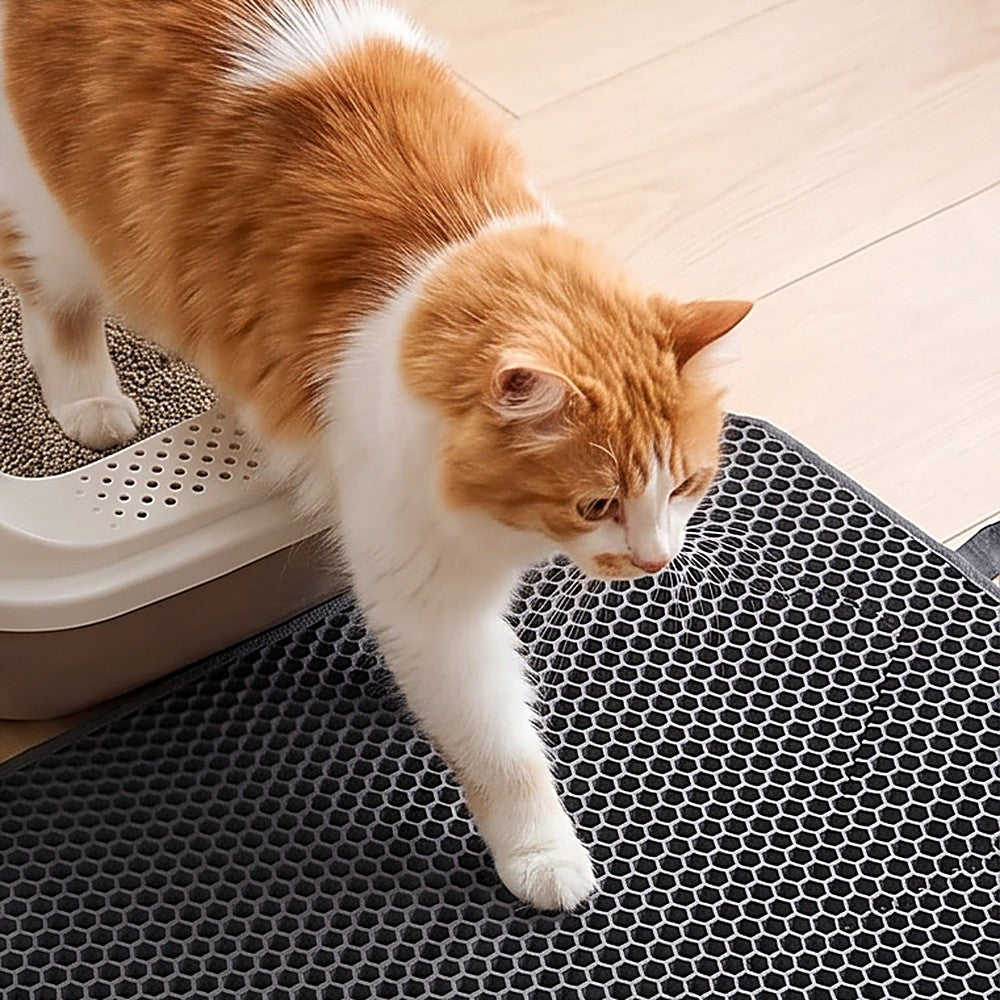 An orange and white cat walking on a black honeycomb cat litter mat next to a litter box on a light wood floor.
