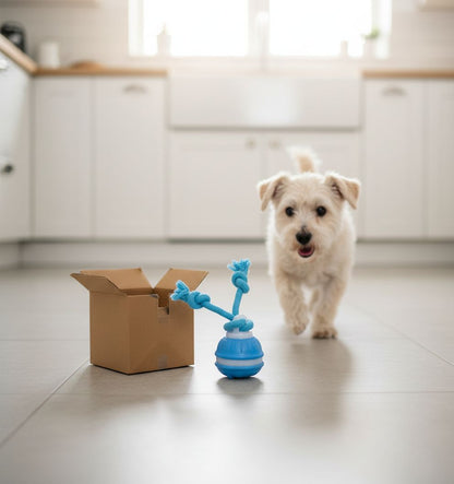 Small white dog running toward a blue interactive chew toy in a bright modern kitchen.