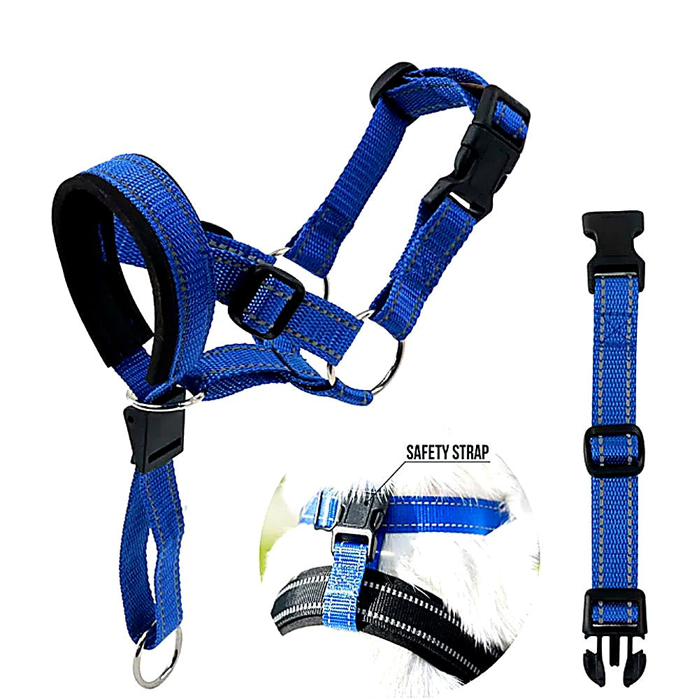 Blue and black dog harness with a safety strap, shown on a white background with a close-up inset of the harness worn by a dog and a separate safety strap displayed on the right.