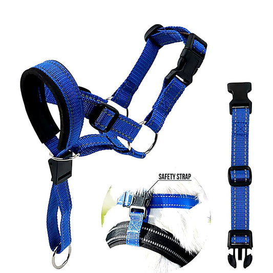 Blue and black dog harness with a safety strap, shown on a white background with a close-up inset of the harness worn by a dog and a separate safety strap displayed on the right.