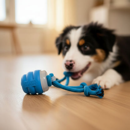 Blue interactive dog toy ball with knotted rope arms, puppy playing tug-of-war on hardwood floor, durable chew toy for medium dogs