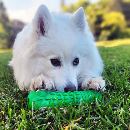 Dog chewing green crocodile-shaped rubber dental chew toy