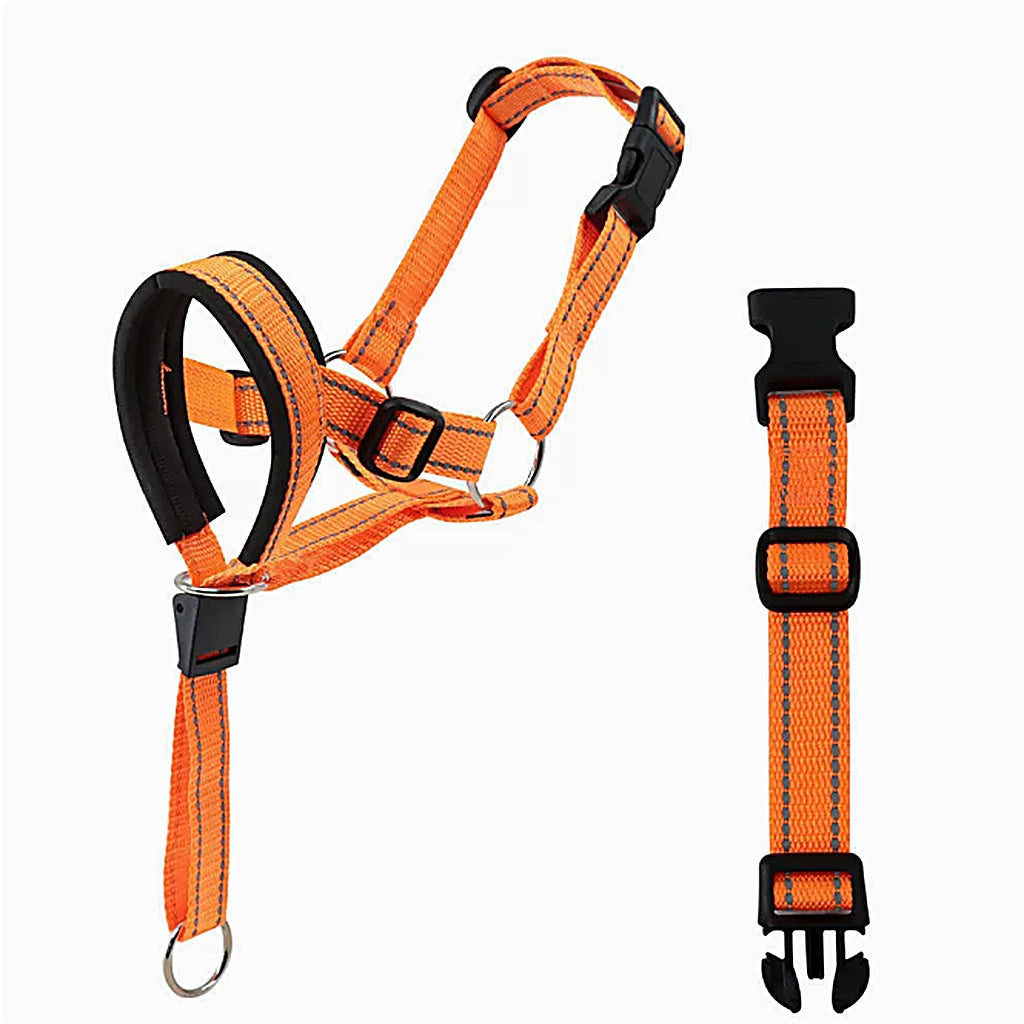 Orange dog harness with black straps on a white background