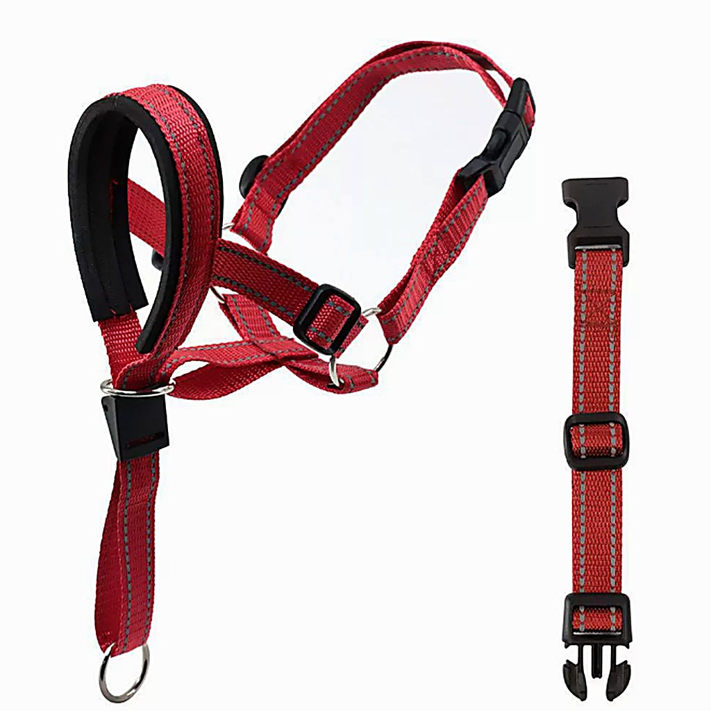 Red and black dog harness with a metal ring attachment, shown alongside a separate matching red webbing strap with black plastic buckles on a white background.