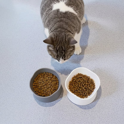 "Cat approaching VelvaroPets ergonomic tilted pet bowls filled with kibble"