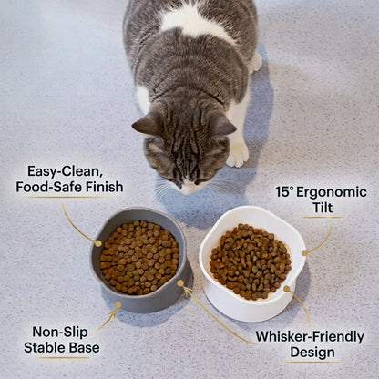 "VelvaroPets tilted pet bowl with labeled features: 15° ergonomic tilt, non-slip base, whisker-friendly design"