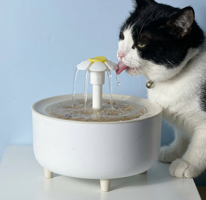 Black and white cat drinking fresh filtered water from the VelvaroPets Automatic Pet Water Fountain
